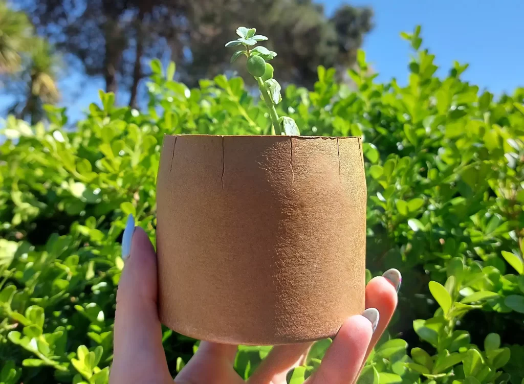Envases biodegradable